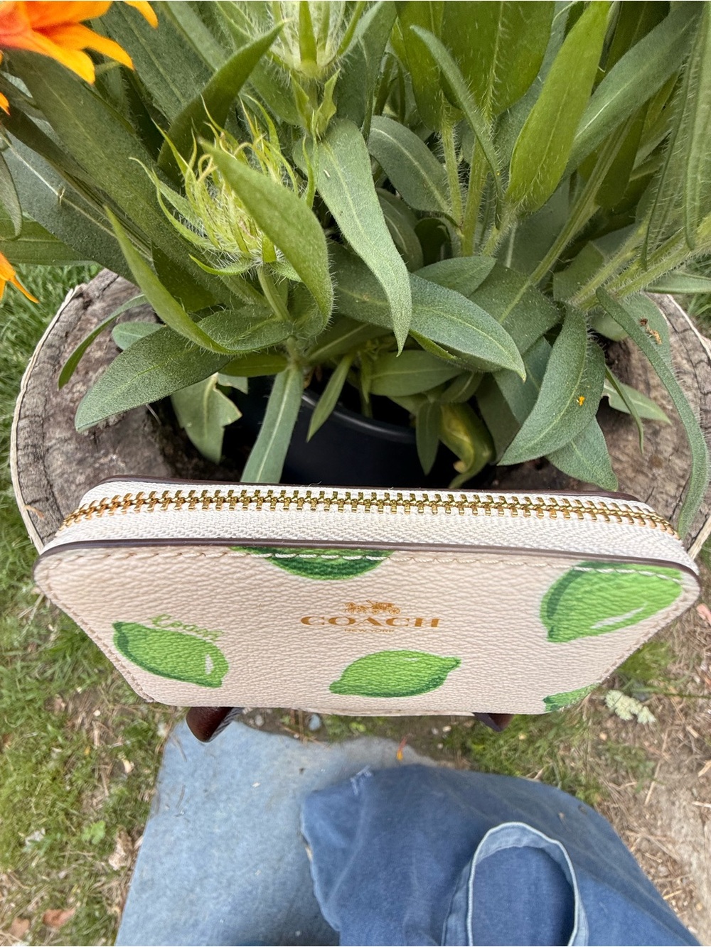 Coach zip around card case 🍋‍🟩 Lime Print - Picture 3 of 12